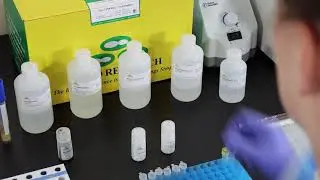 PathogenDx: DetectX-Rv - Video 2 - RNA Reagent Sample Prep