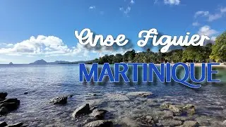 Anse Figuier Beach, Martinique #Martinique #CaribbeanBeach #TravelMartinique #FrenchCaribbean