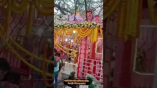 বনগাঁ সাত ভাই কালিতলা মন্দির #Bongaon #kalimondir #kali #youtubesarch