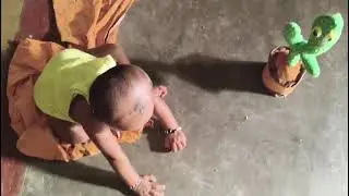 My Baby's Most Fun Moments with the Dancing Cactus 🪀🪀🧸🧸