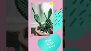 Eco-Friendly Vegan Bags  | Love Vegan Bags