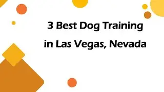 3 Best Dog Training in Las Vegas, Nevada | Canine Training