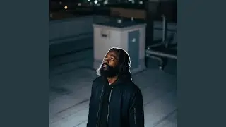 Monkey see Monkey do