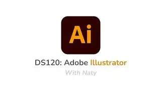 DS120 Illustrator Tutorial (2025)