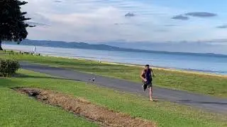 Guy has a running race with a magpie bird