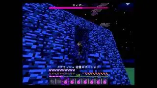 minecraft治療のポーションだけでウィザー倒してみた！