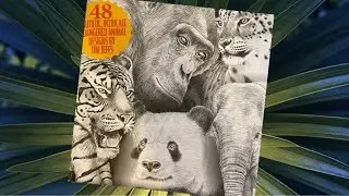 Colouring heaven collection! Endangered animals by TIM JEFFS