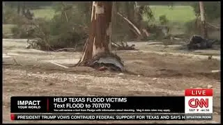 How to Help Texas Flood Victims: CNN x Pledge