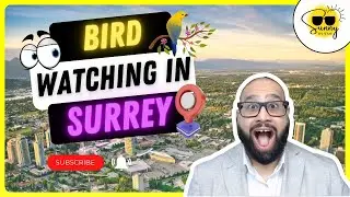 🦉 Winter Birding in Surrey&mdash;The Best Seasonal Activity You Didn&rsquo;t Know About! ❄️