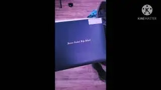 how i felt about my diploma meme