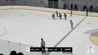 Lakers vs Lakers Gold