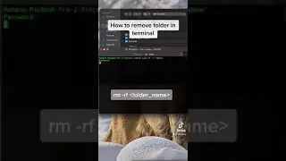 How to remove folder in terminal #shorts