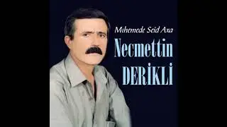 Necmedine Deriki Sinema Amüde Mıhemede Seid Axa 2