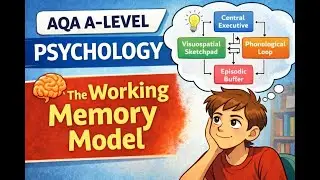 The Working Memory Model