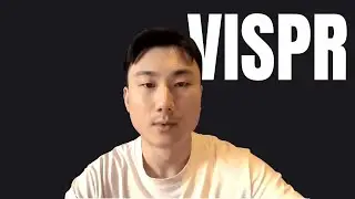 Setting-Up Vispr Backlinks Correctly - Building in Public Day 18