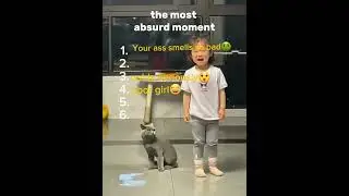 The Most Absurd Moment EVER Caught on Camera! 😵😂 #catcontent #funnycat #cat