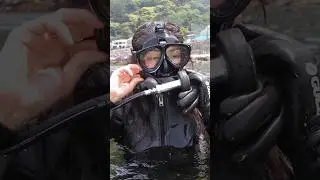 miss antique scuba hanzo 03  #Shorts