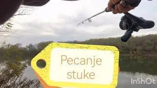 Pecamo stuku