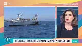 La guerra del gambero rosso - Unomattina 13/05/2021