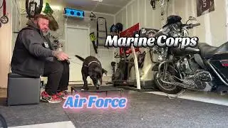 Dog training humor | funny do training | do obedience school | obedience Kings dog training | OBKS 