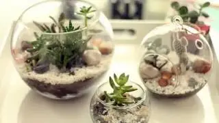 HOW TO MAKE SUCCULENTS & CACTI TERRARIUM DIY