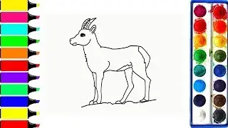 Drawing and Coloring a Goat   Learning Farm Animals Color Pages for Children