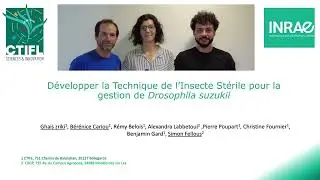 Lutter contre Drosophila suzukii avec la TIS