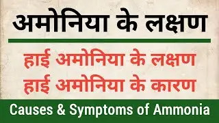 Ammonia High Levels in hindi | Causes & Symptoms of Ammonia