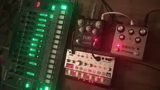 Korg Volca Bass, Strymon, Roland TR-8: Jam for BT