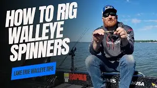 How To Rig Walleye Spinners For Lake Erie