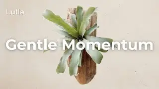 Gentle Momentum ✨🌱 | Chill House to Find Your Rhythm Again