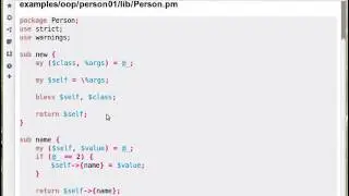 Core Perl OOP: Constructor arguments