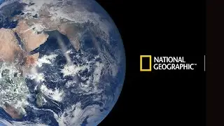 Согласованная Вселенная. Документальный фильм The Connected Universe (2016)