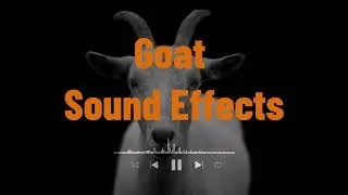 Goat Sound Effect No Copyright & Royalty Free sound effect 🐐