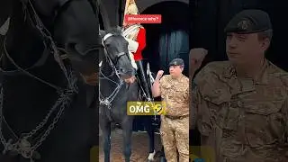 respect 🥰🙏 #horseguardsparade #peterellis #tourist #kingsguard #buckinghampalace