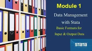 Basic file formats for input and output in Stata
