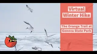 Geneva State Park's Orange Trail