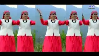 Jhampu himchali folk songs naati By Ashok chhatu
