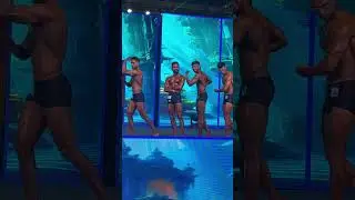 ICN India Goa Supershow Men&rsquo;s Fitness Overall