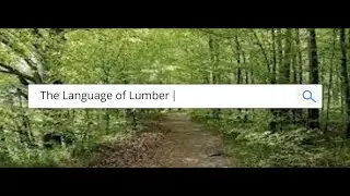 Basswood Lumber Features