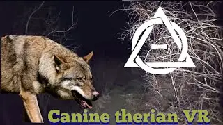 Canine therian VR #therian #therianthropy #animals #otherhearted #otherkin #wolf #canine #dog