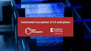 Earlham Institute Bio Foundry - Automated inoculation of 24 well plates