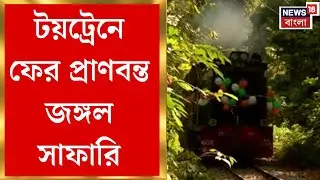 Siliguri Toy Train News | ৫ বছরের অপেক্ষা শেষে ফিরল টয়ট্রেন! শিলিগুড়ি&ndash;গয়াবাড়ি জঙ্গলে সাফারি