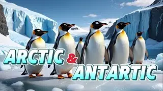 Kids learning |  Scientist Reveals 5 AMAZING FACTS About the POLAR REGIONS