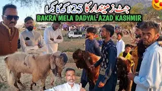 Jatt Zimidar Ka 25 Lakh Ka Mehnga Bakra || Bakra Mela Dadyal Azad Kashmir 2025 