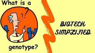 What is Genotype ?