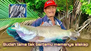 AKIBAT LAMA TAK DI PASANG JARING 6 iNCI‼️ luar biasa...