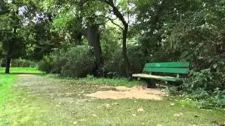 Podw&oacute;jna tragedia w świdnickim Parku Centralnym