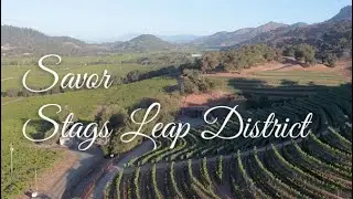 Savor Stags Leap District