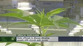 MN Officials Begin Talks On Expanding Medical Pot To Chronic Pain Sufferers